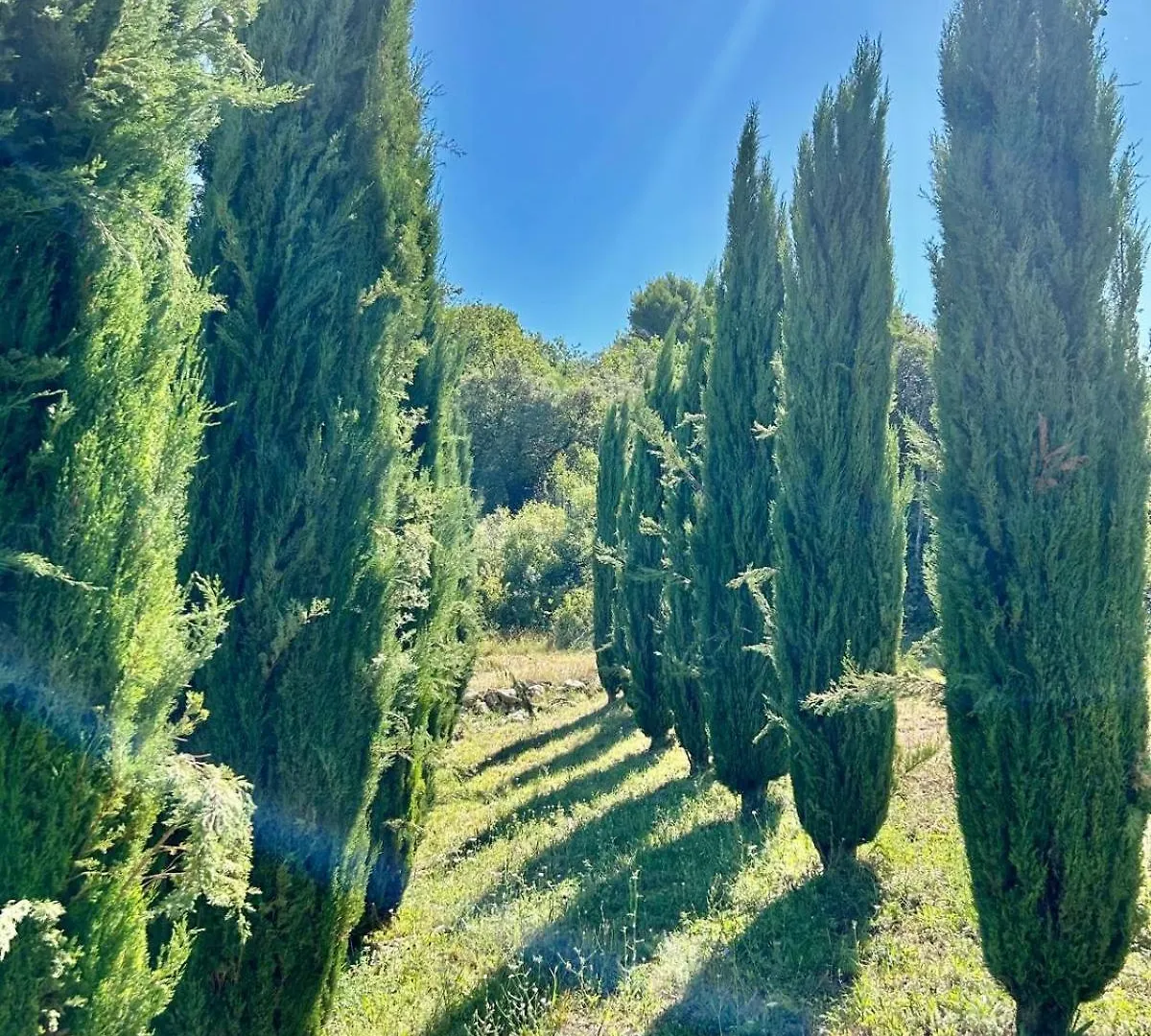 Mas De La Source Villa Le Beaucet France